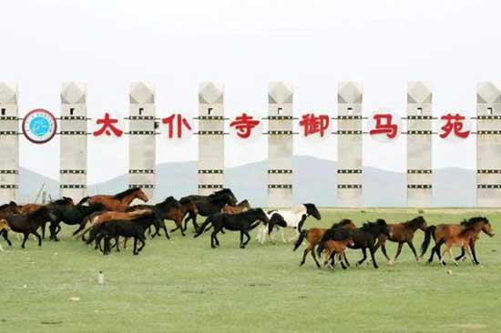 太仆寺旗御马苑