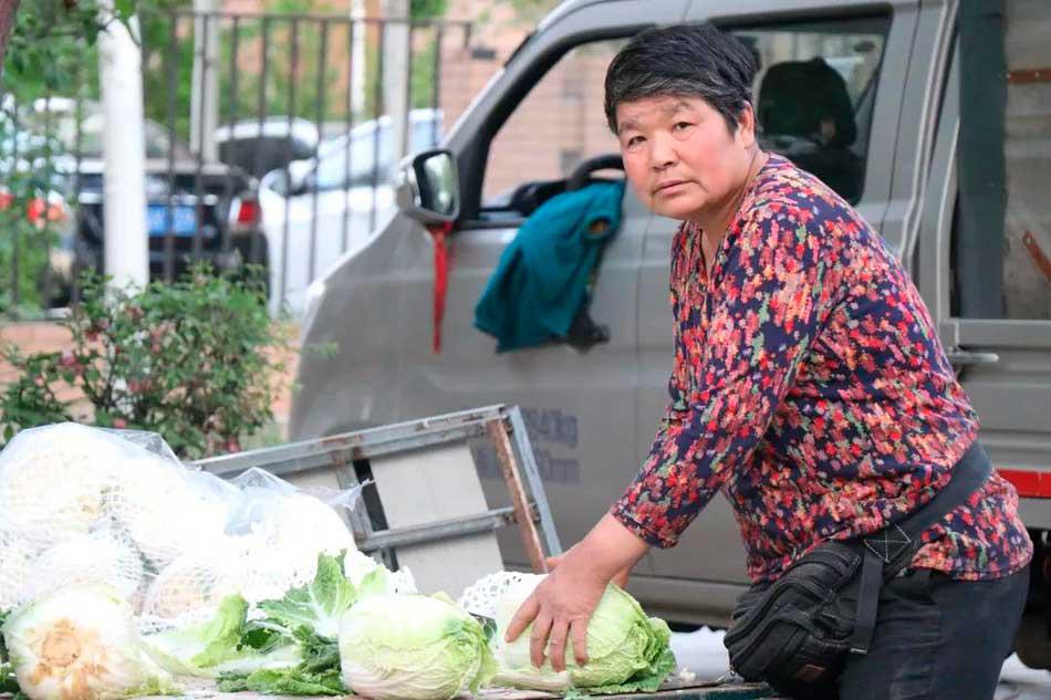 “大棚绿色蔬菜啦”
