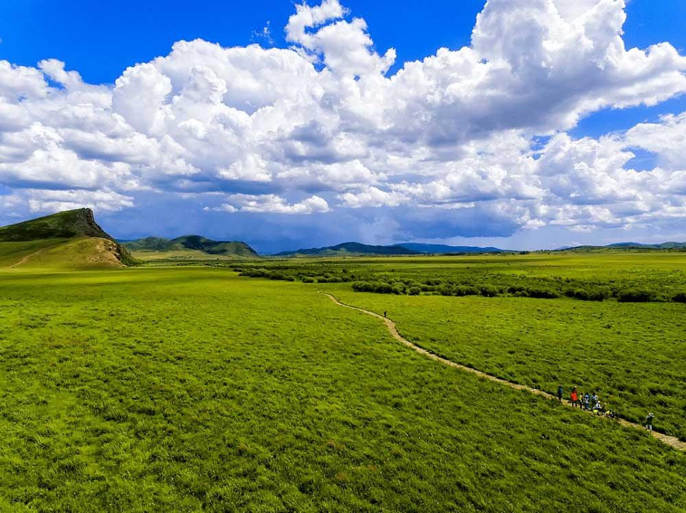 西乌旗东南50公里白桦林旅游区